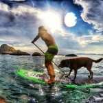 instagram.com/p/3wy6inySON/#bonosurfdog